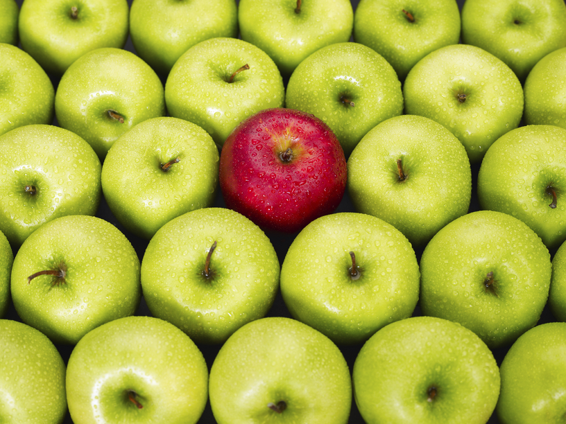 Image of red apple in middle of green apples at apple festival.