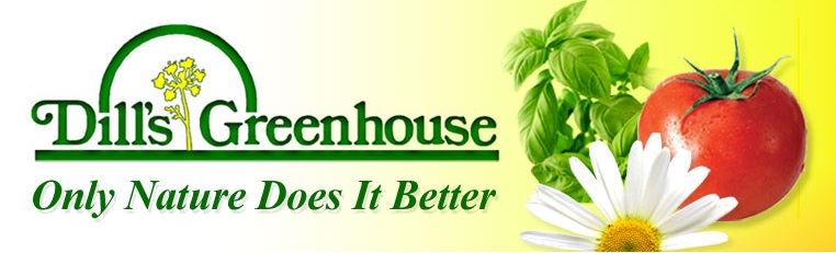 dillsgreenhouse