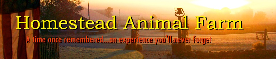 homesteadanimalfarm