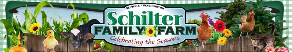 schilterfamilyfarm