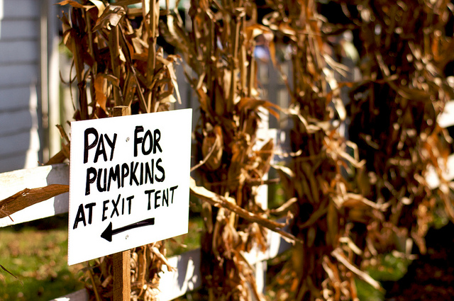 Image of exit sign from pumpkin patch in New Jersey.