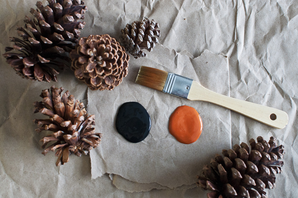 Dip-dyed Pine Cones - Materials