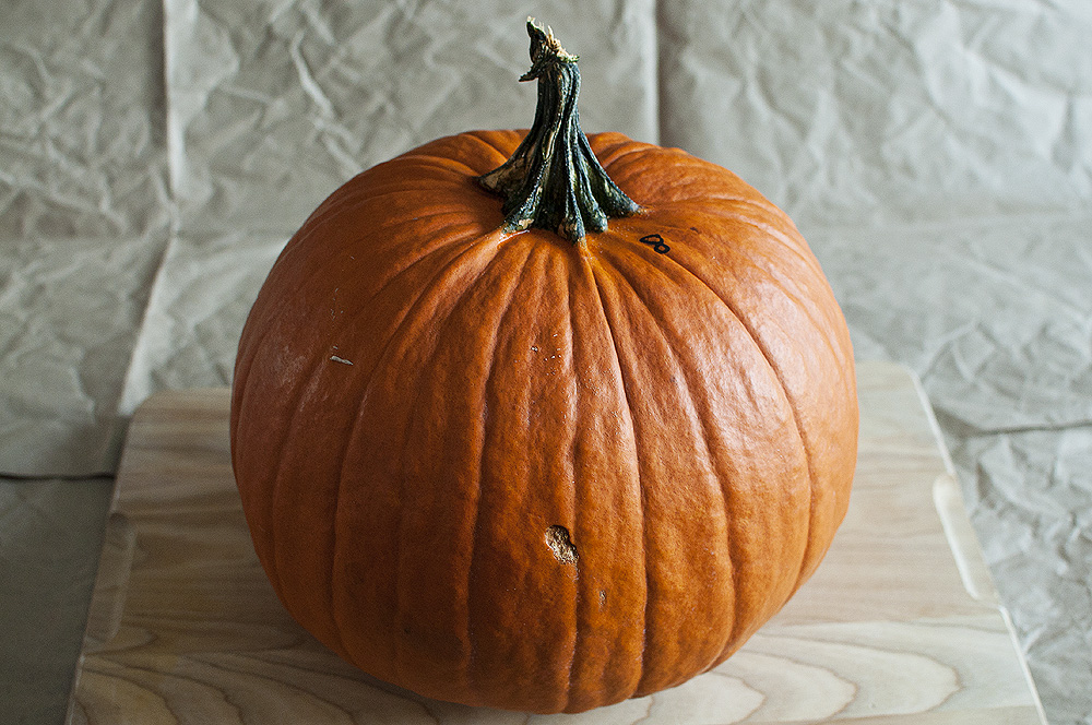 Homemade Pumpkin Puree