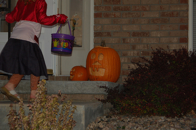 Image of carved pumpkins at Halloween.