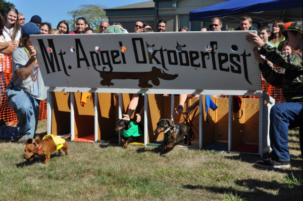 mtangeloktoberfest