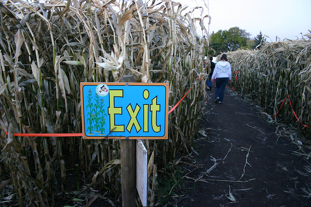 Image of the exit at a corn maze.