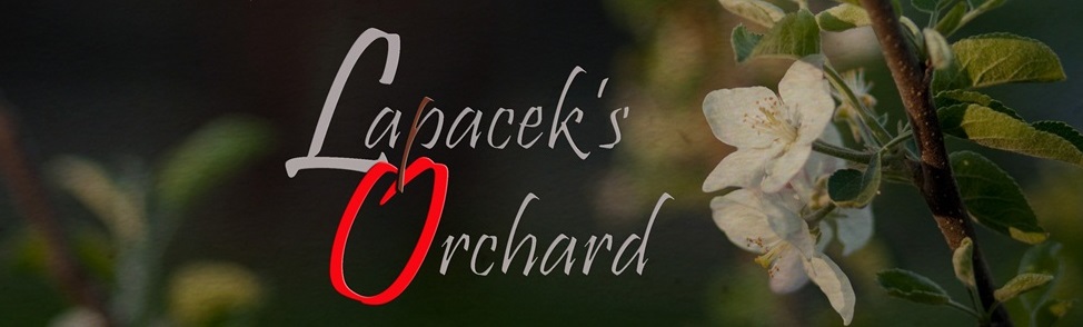 lapaceksorchard