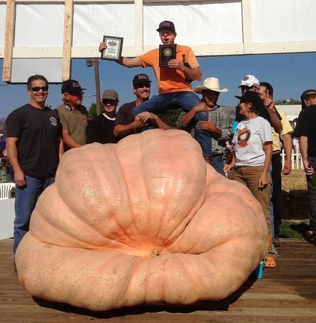 world record pumpkin size
