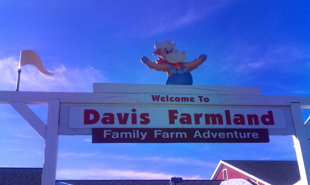 davisfarmland