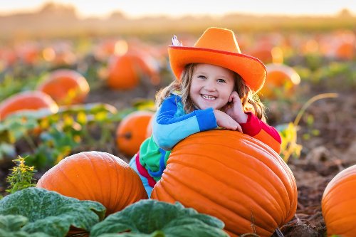 Apple Orchards for Picking Near Minneapolis - Funtober