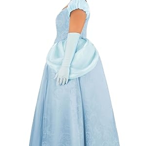Disney Plus Size Premium Cinderella Costume Dress