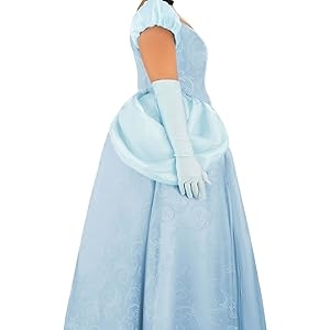 Disney Plus Size Premium Cinderella Costume Dress